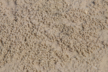 brown sand floor is a beautiful wall.