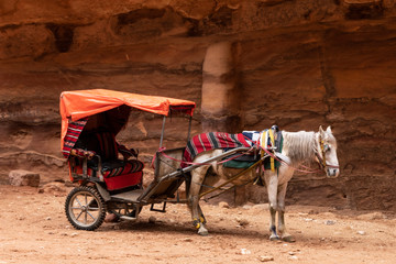 Carro beduino tirado por un caballo en Petra, Jordania