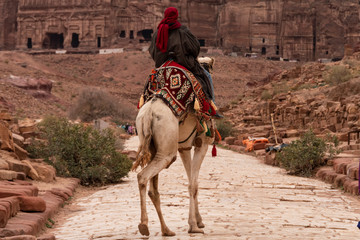 Beduino montado en un Camello en Petra, Jordania