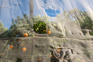 Storm damage on a greenhouse