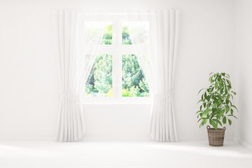 Stylish empty room in white color with home plant and summer landscape in window. Scandinavian interior design. 3D illustration