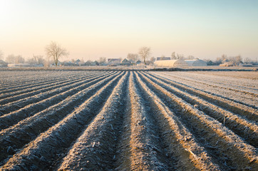 Winter farm field ready for new planting season. Agriculture and agribusiness. Choosing right time...