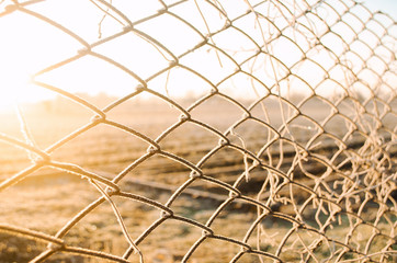 View of a winter farm field through a mesh fence. Beautiful sunrise in countryside. Property fencing and cattle barriers. Sunny day. Frost on fence grate, frosty cold. Agricultural industry