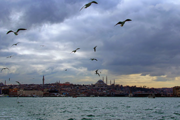 Fototapeta na wymiar Instanbul, Turkey-January 03, 2020: Panoramic view of The Bosporus (Bosphorus or Strait of Istanbul) and buildings of Istanbul. White seagulls are flying over the sea. Cloudy winter day