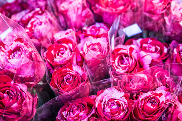 Wall of flowers in a flower shop