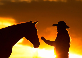 Cowgirl and Horse Silhouette girl with western cowboy hat reaching out to touch horse head at...