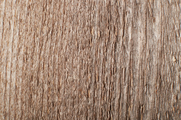 Brown wood texture background coming from natural tree. Abstract wooden panel with beautiful patterns.Background for interior design.