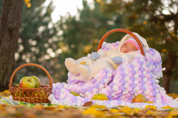 Fototapeta na wymiar The baby sleeps in a basket in the autumn forest, next to a basket of apples