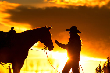 Cowgirl and Horse Silhouette girls hand reaching out to touch horse head portrait with orange sky background 