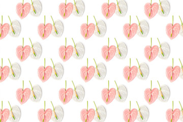 Pink flower in the shape of a heart on a white background.