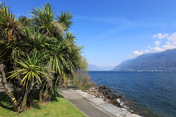 Promenade of Brissago