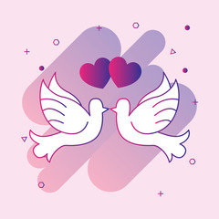  couple of pigeons line icon