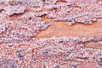 Bright brown tree trunk with ice crystal on the bark on a cold and frosty winter morning in Germany in December as a background