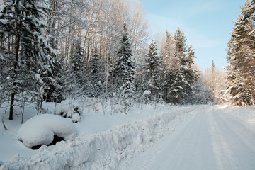 Obraz premium Winter