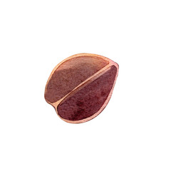 Forest seeds watercolor illustration autumn