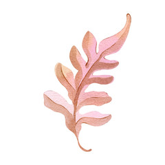 Autumn leaf branch watercolor illustration element decor plant