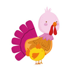 turkey chicken farm animal cartoon