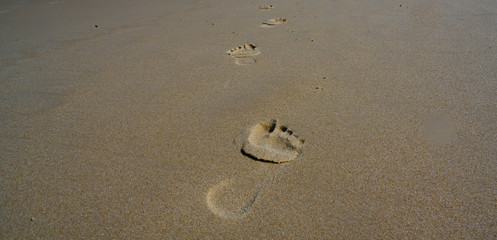 Footprints in the sand