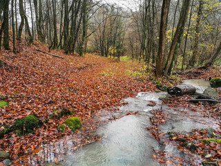 Autumn nature landscape