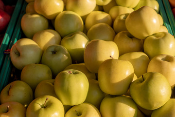 green apples on black background