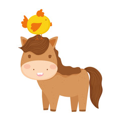 horse with chick in head wooden fence flowers farm animal cartoon
