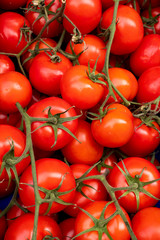 fresh tomatoes at the market