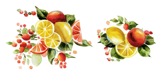 Lemon watercolor illustration.Manual composition.Big Set watercolor elements.