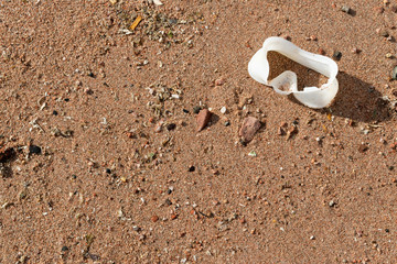 Plastic Trash on Wet Red Sand of Red Sea