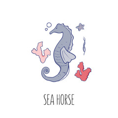 Vector illustration of the sea horse. Beautiful sea colors palette for t-shirts, textile, postcard