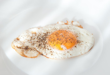 fried egg on white plate
