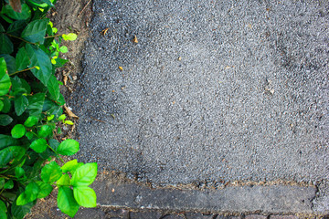 Road surface and leaf background image