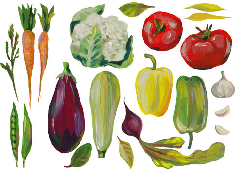 Vegetable set, food, vegetarianism. Hands drawn, gouache. Fresh food, greens, cauliflower, tomatoes, eggplant, zucchini, peppers, red peppers, beets, lettuce, carrots, garlic. Design elements for ever
