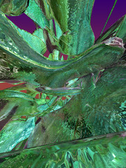 abstract composition © neurostructure