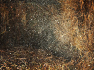 Tiny dust particles in a sunlight on a dark barn with hay. Abstract dust background