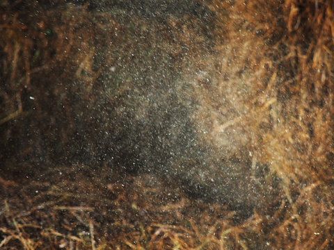 Tiny Dust Particles In A Sunlight On A Dark Barn With Hay. Abstract Dust Background