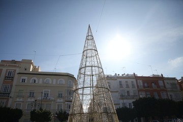 Fototapeta premium Spanish Festival Tree