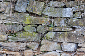 The texture of a rough stone wall with the remains of dried branches