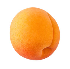 Apricot isolated on white background with clipping path