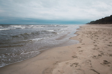Elements that the sea drags to the beaches
