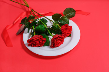Valentines day concept with red rose and ribbon on white plate on red background.
