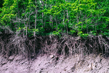 Great view of mountains landscape