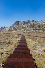 Walking pathway at Mount Kosciuszko National Park with blue sky.