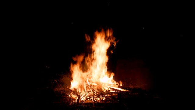 Bonfire flames of camping fire, stock video. 4k