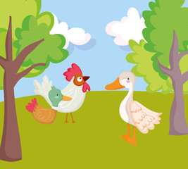 Fototapeta na wymiar birds rooster duck goose trees grass farm animal cartoon