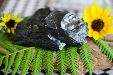 Large Rough Jet. Black healing crystal. Solid Jet crystal from Russia. Large natural black Jet chunk, Grounding and Protection Healing Stone. Witches healing, witchy vibes. Crystals and plants on wood
