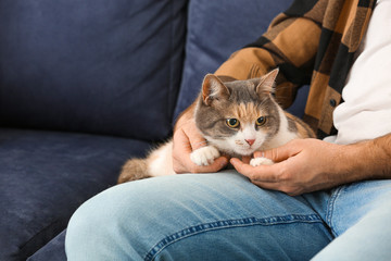 Man with cute cat on sofa at home
