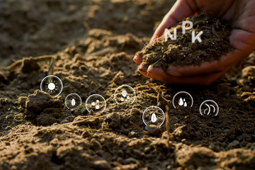 The hands of men are holding the soil rich in all the elements needed to grow plants and have...