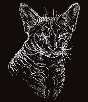 Black vector cat portrait 3