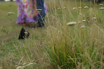 girl and guy are standing in a far field