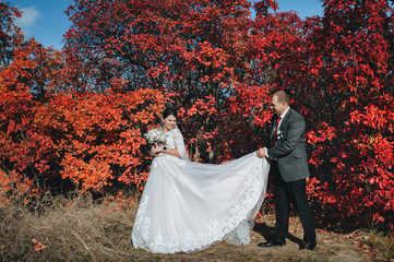 Stylish groom in a gray suit and a beautiful brunette bride in a white dress are standing, holding on to a long dress on a background of red bushes, foliage. Wedding portrait of happy newlyweds. 
